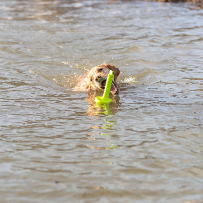 Wasserspielzeug für Hunde – Aqua Toy MOT®-Aqua – Bild 3