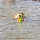 Wasserspielzeug für Hunde – Aqua Toy MOT®-Aqua – Bild 3