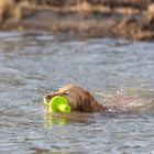 Wasserspielzeug für Hunde – Aqua Toy MOT®-Aqua – Bild 4