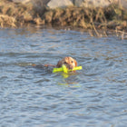 Wasserspielzeug für Hunde – Aqua Toy MOT®-Aqua – Bild 5