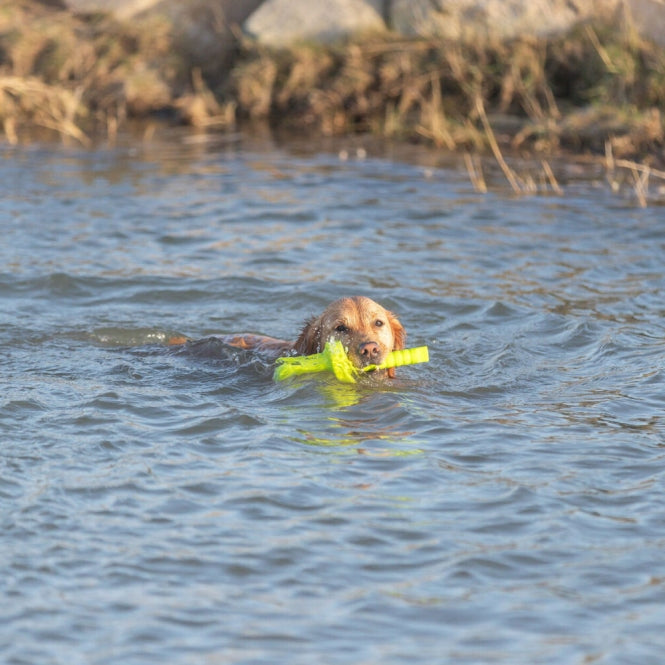 Wasserspielzeug für Hunde – Aqua Toy MOT®-Aqua – Bild 5