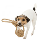 Spieltau für Hunde – BE NORDIC mit eingeflochtenem Ball – Bild 4