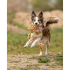 Tau-Spielzeug für Hunde –  – Bild 2
