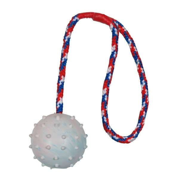 Naturgummiball für Hunde – am Seil – Bild 3
