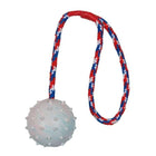 Naturgummiball für Hunde – am Seil – Bild 2