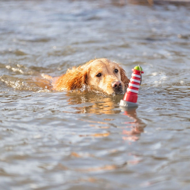 Hundeseil – Aqua Toy Leuchtturm am – Bild 6
