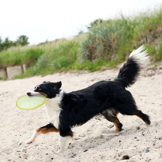 Hundefrisbee – TPR Dog Disc, schwimmfähig – Bild 2