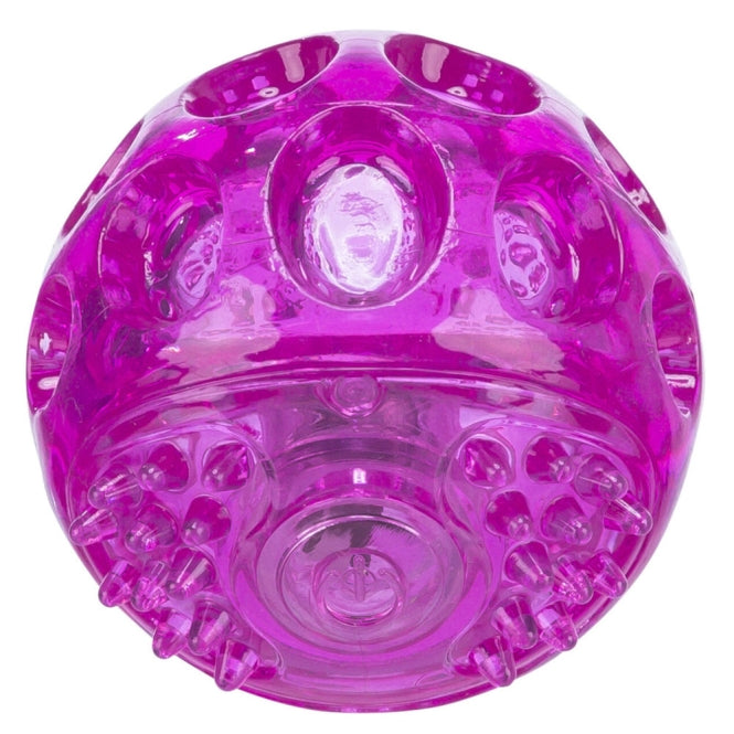 Blink-Ball für Hunde – aus TPR