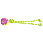 Spieltau für Hunde – mit TPR Ball