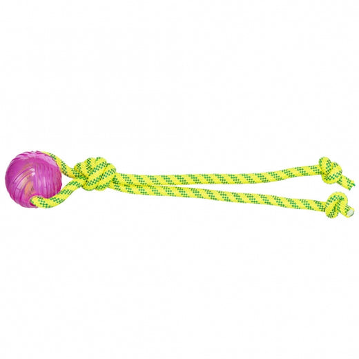 Spieltau für Hunde – mit TPR Ball