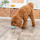Naturgummi-Snackball für Hunde – Labyrinth-Snacky – Bild 10