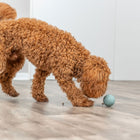 Naturgummi-Snackball für Hunde – Labyrinth-Snacky – Bild 11