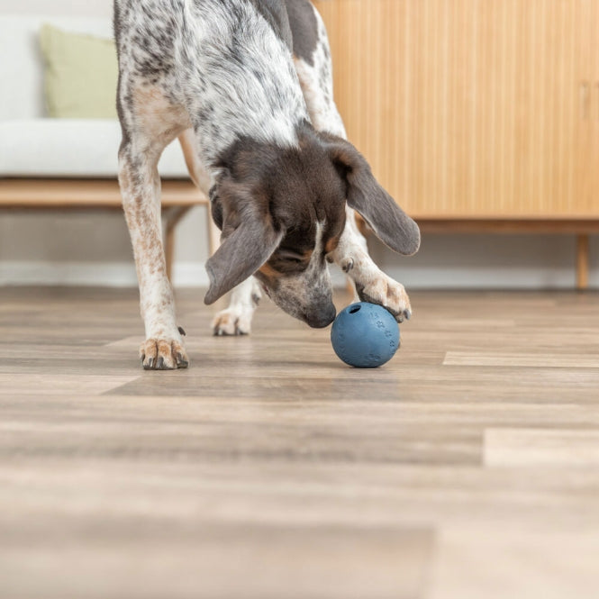 Naturgummi-Snackball für Hunde – Labyrinth-Snacky – Bild 6