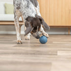 Naturgummi-Snackball für Hunde – Labyrinth-Snacky – Bild 6
