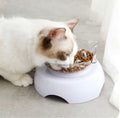 Orthopädischer Katzennapf 2-in-1 – Anti-Erbrechen