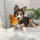 Plüschspielzeug für Hunde – Eichhörnchen mit Memory-Effekt, 13 cm – Bild 3