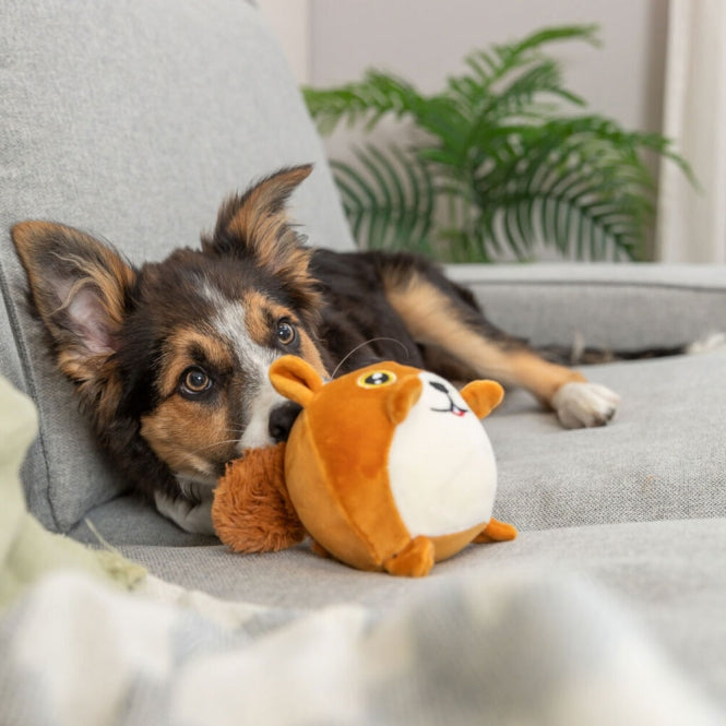Plüschspielzeug für Hunde – Eichhörnchen mit Memory-Effekt, 13 cm – Bild 4