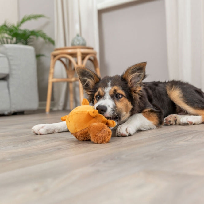 Plüschspielzeug für Hunde – Eichhörnchen mit Memory-Effekt, 13 cm – Bild 5