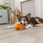 Plüschspielzeug für Hunde – Eichhörnchen mit Memory-Effekt, 13 cm – Bild 5
