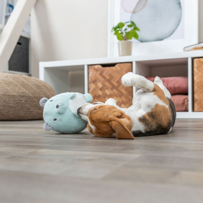 Plüschtier für Hunde – Junior Bär, geräuschlos – Bild 4