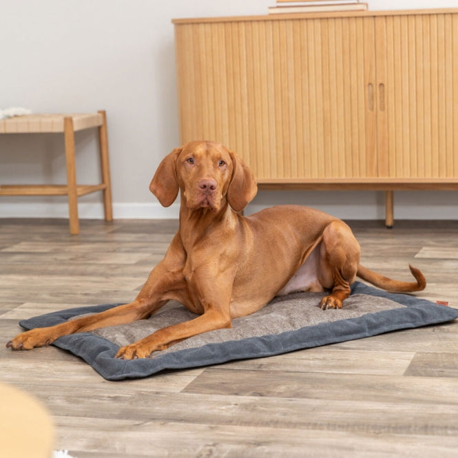 Liegematte für Hunde – BE NORDIC Föhr – Bild 3