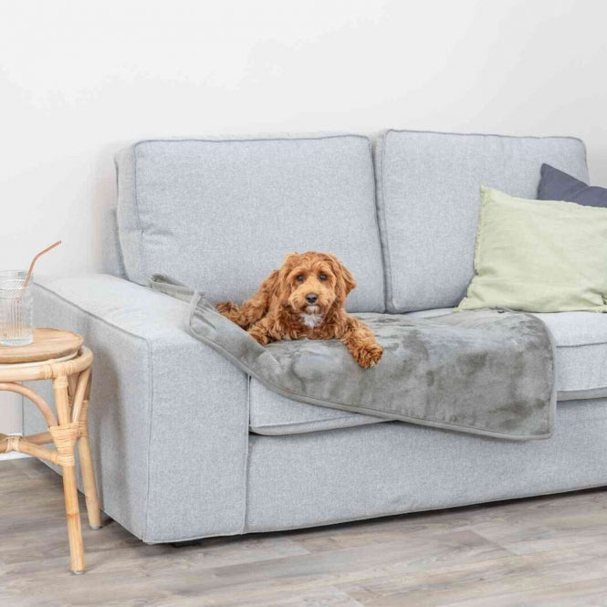 Hundedecke – beschichtete Levy – Bild 5