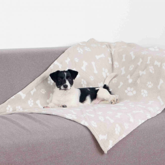 Hundedecke – Kenny – Bild 5