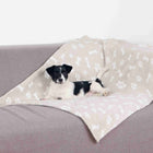 Hundedecke – Kenny – Bild 5