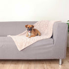Hundedecke – Cosy – Bild 6