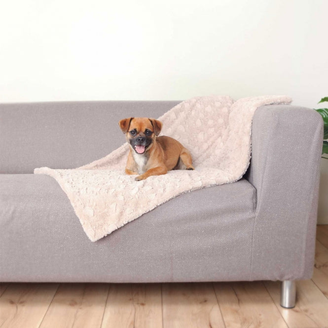 Hundedecke – Cosy – Bild 4