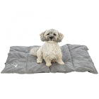 Reisedecke für Hunde – Leni, grau, 80 × 60 cm
