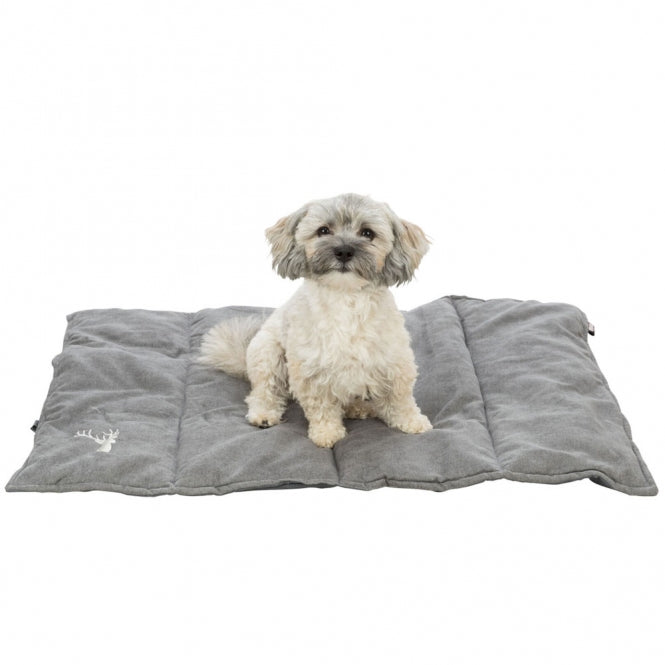 Reisedecke für Hunde – Leni, grau, 80 × 60 cm