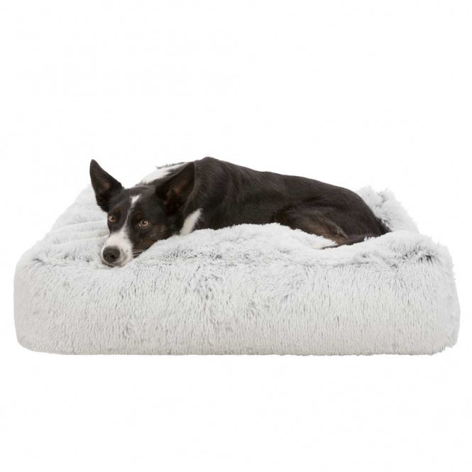 Hundekissen – Harvey