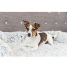 Polster-Schondecke für Hunde – Harvey – Bild 9