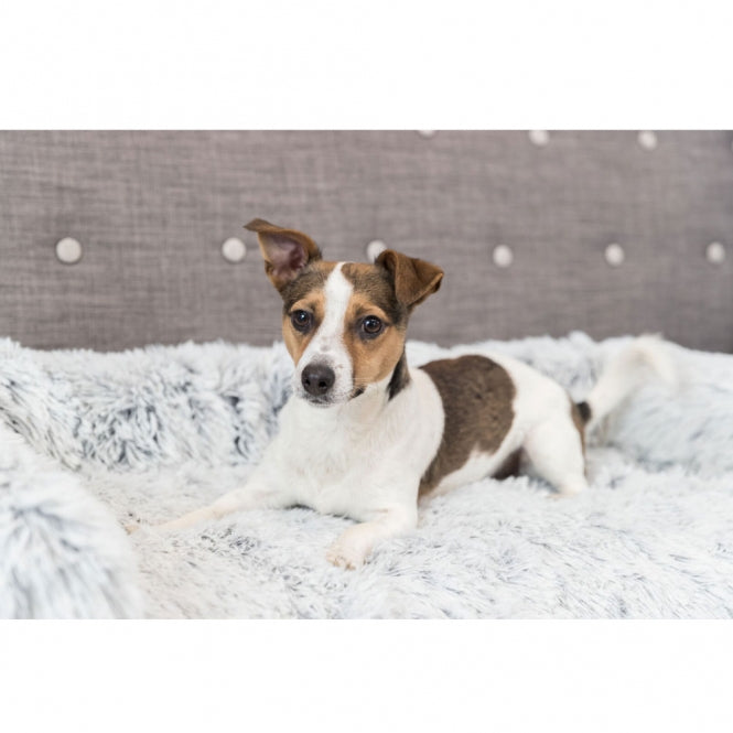 Polster-Schondecke für Hunde – Harvey – Bild 9