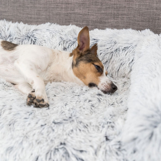 Polster-Schondecke für Hunde – Harvey – Bild 10