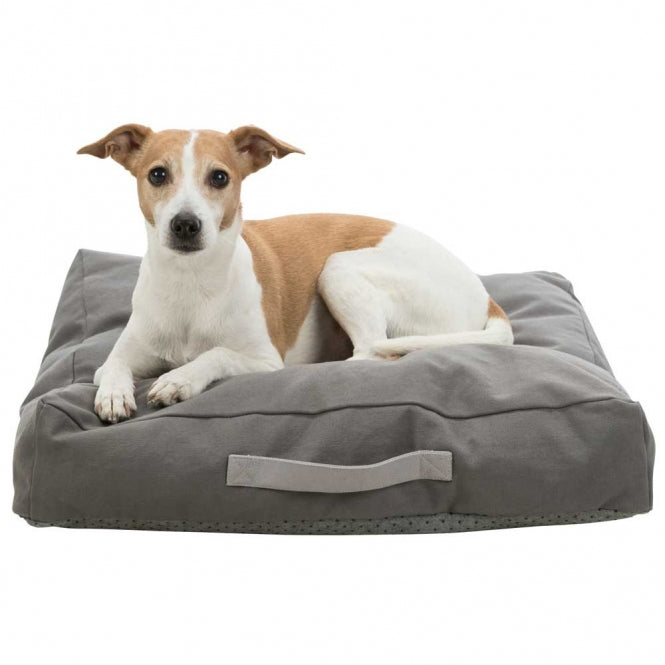 Hundekissen – Be Eco Danilo, 80 x 60 cm – Bild 5
