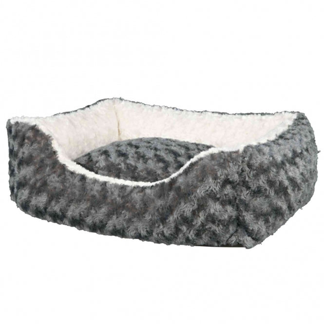 Katzenbett – Kaline