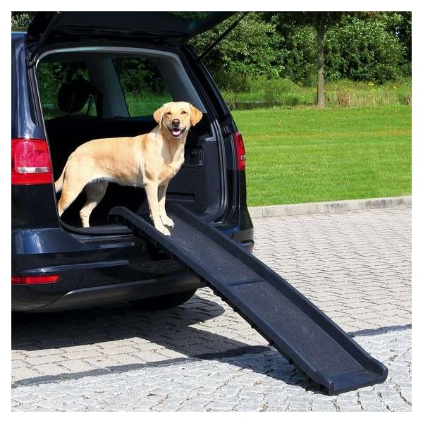 Klapp-Rampe für Hunde – PetWalk