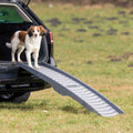 Klapp-Rampe für Hunde 3-fach Kunststoff/TPR | Trixie