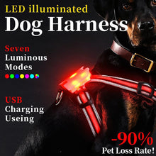 LED Hundeweste – Leuchtende Sicherheitsweste für Hunde bei Nacht