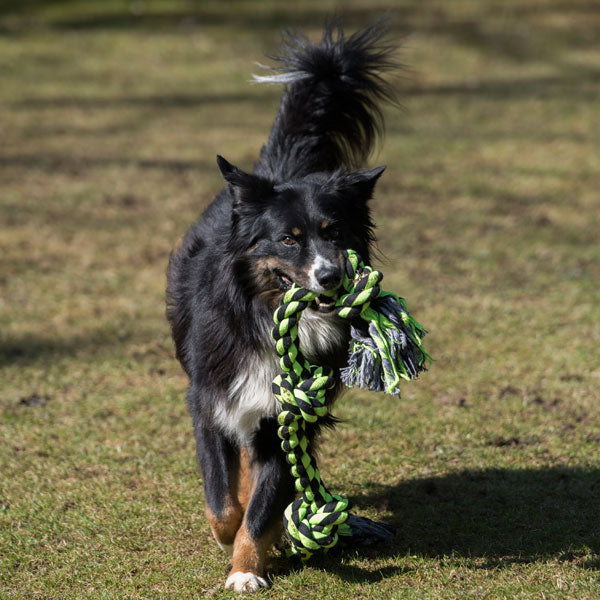 XXL-Kauseil für Hunde –  – Bild 14