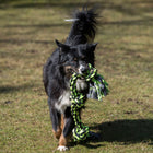 XXL-Kauseil für Hunde –  – Bild 14