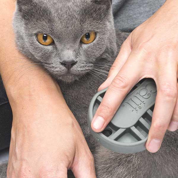 Katzenbürste – Catit Bürsten-Set für Kurzhaarkatzen – Bild 4