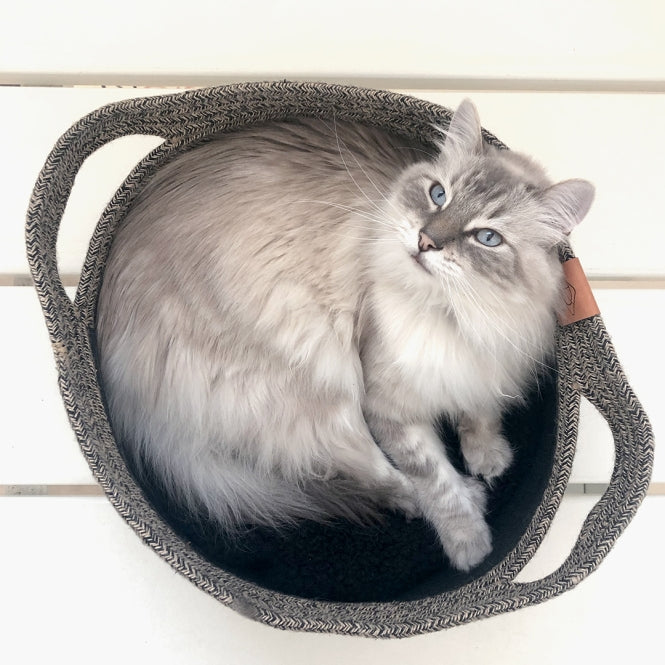 Katzenkorb – Tod – Bild 7