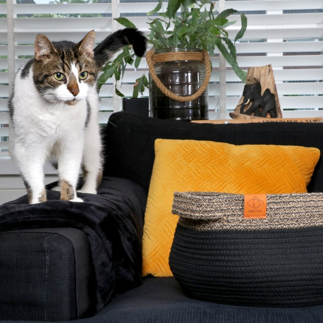 Katzenkorb – Tod – Bild 8
