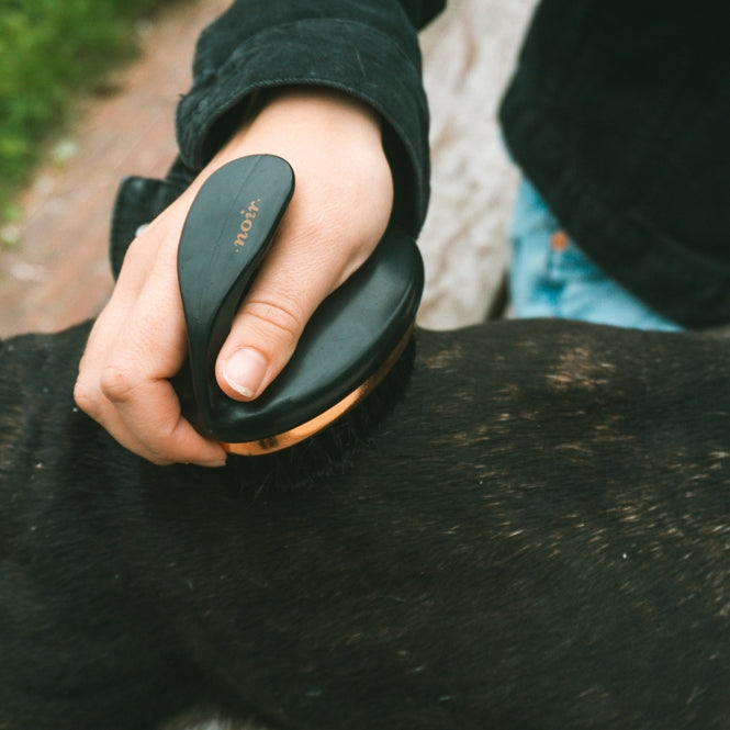 Fellbürste für Hunde und Katzen – Noir ergonomische weiche – Bild 3