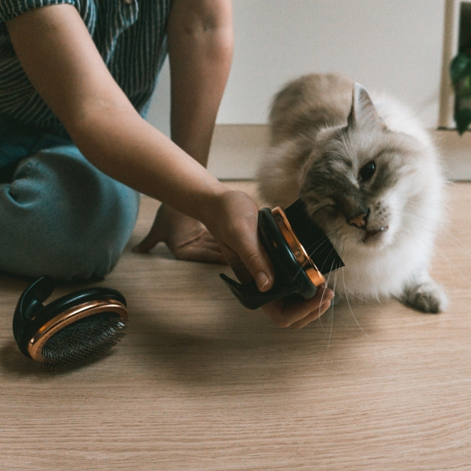 Fellbürste für Hunde und Katzen – Noir ergonomische weiche – Bild 4