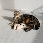 Katzenkissen – Latif – Bild 3