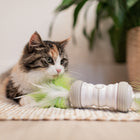 Beschäftigungsspielzeug für Katzen – Cat Toy Double Spinner, weiß/grün – Bild 3